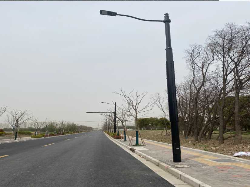 阳东区上海综合杆 太阳能路灯工程